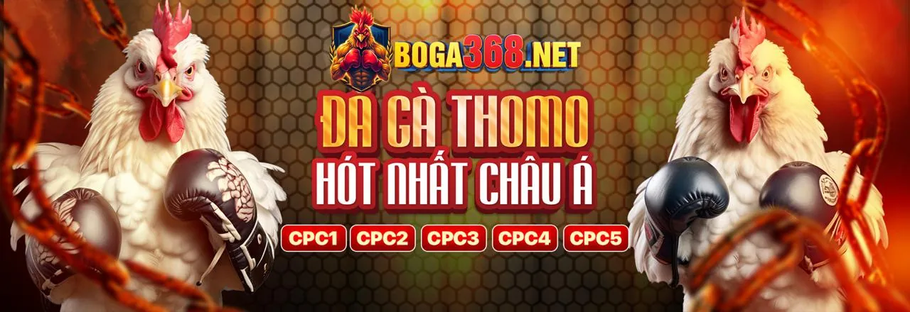 Hỗ trợ và FAQ 999ok